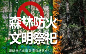 清明節：文明祭奠、預防火災